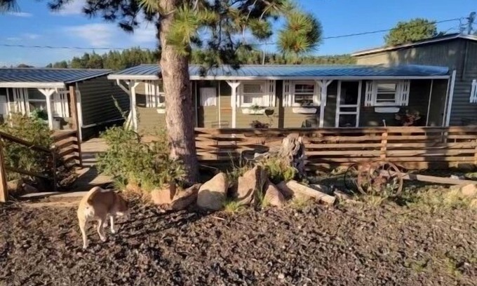 Red Feather Lakes Cabin | Relaxing Cabin in the heart of Red Feather Lakes!
