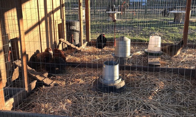 Four Corners Cottage | Relaxing Cobb Hill Cottage in Bozeman