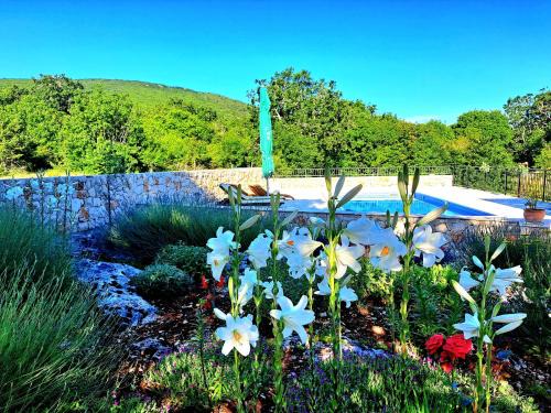 Ljubitovica House | Relaxing Dalmatian house in village