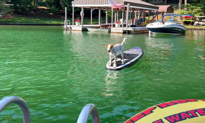 Huddleston House | Relaxing lakefront escape with hot tub, dog-friendly fenced yard, dock & kayaks