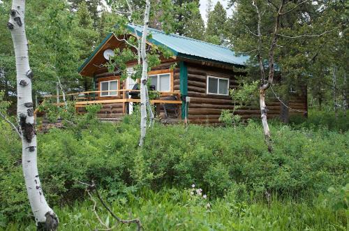 Island Park House | Remington Retreat by KABINO Dog Friendly FirePit Sleeper Sofa WiFi Grill