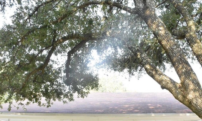 Royse City Cottage | Remodeled 3br/2ba cottage in quiet neighborhood