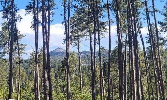 Deadwood House | Remote Retreat for 2 near Deadwood w/beautiful views & near activities!