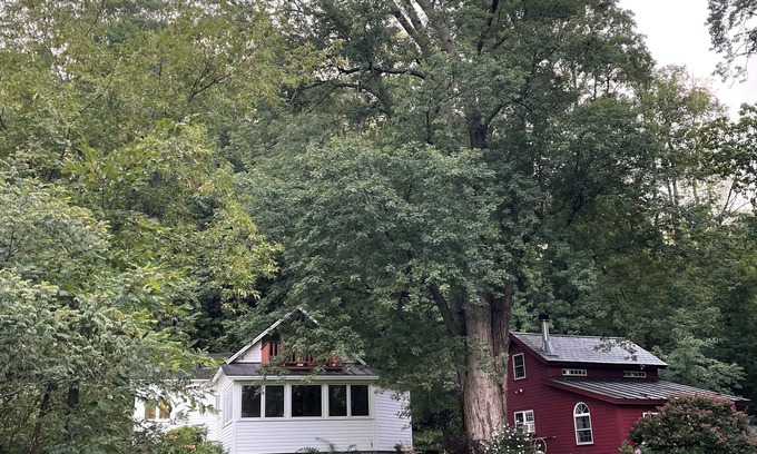 Fair Haven House | REMOTE, ROMANTIC, RELAXING, RURAL VERMONT DIRECT WATERFRONT