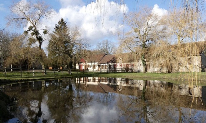 Saint-Julien-sur-Sarthe Other | Renovated Perche farmhouse in the countryside. Ideal for friends/family (=> 20 pers.)