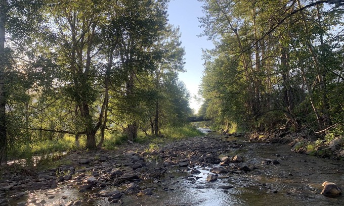 Blairmore Cottage | Renovated Home w/deck and private yard, 5 mins from Skihill, Pool, Biking Trails