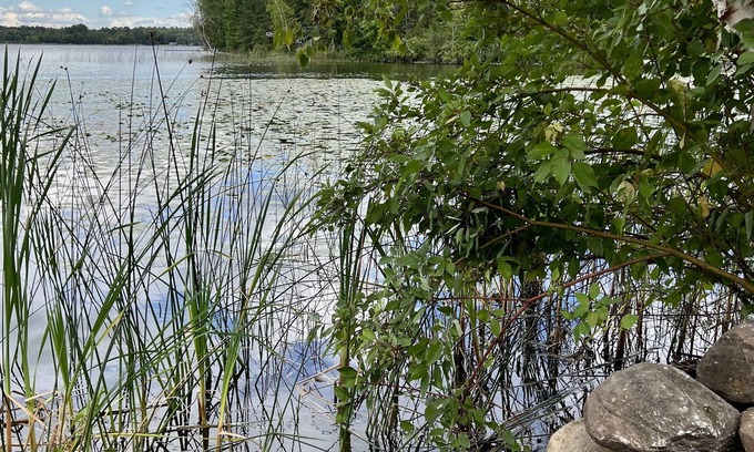 Puposky House | Renovated lake home just steps from the water!