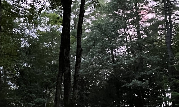 Concord House | Rent this woodland oasis for family time, work or both!