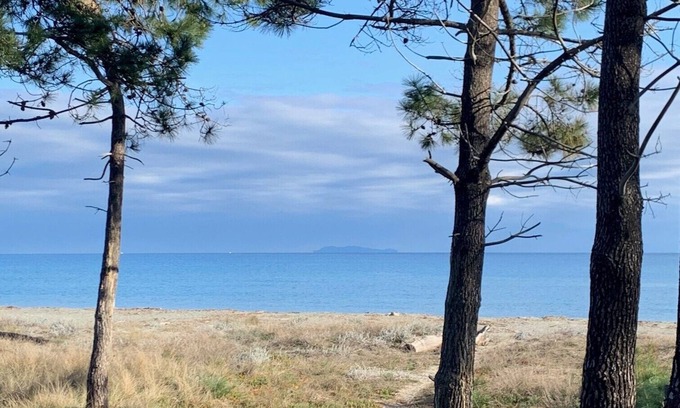Pineto Condo | RENTAL - all year round Plage de la Marana Borgo