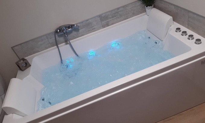 Selles-sur-Cher House | RENTAL BALNEO DUO NE ZOO BEAUVAL Saint-Aignan-sur-Cher and CASTLES