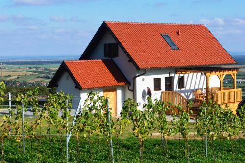 Rechnitz House | REnthouse - Ferienhaus am Weinberg