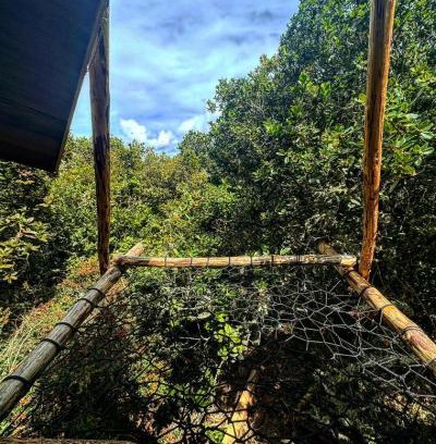Tona Other | Reserva Natural La Floresta