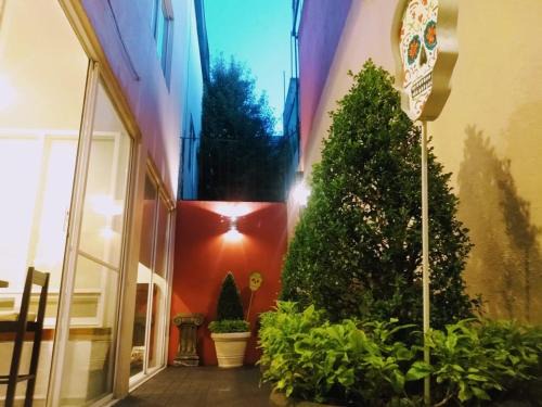 Paseos de Taxquena Bed & Breakfast | Residence Las Trojes Cdmx