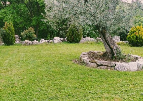 Busso Apartment | Residence San Martino