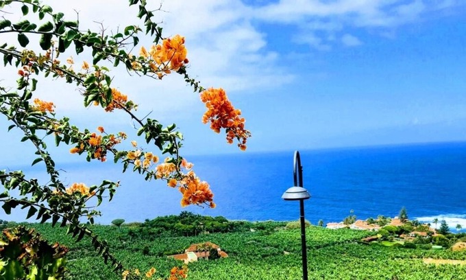 Los Realejos House | Residencia San Pedro