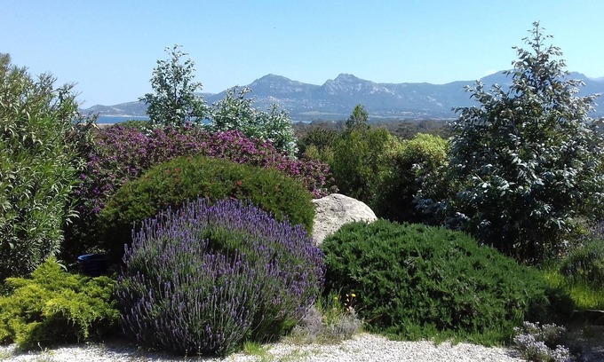Calvi Apartment | Residential flat