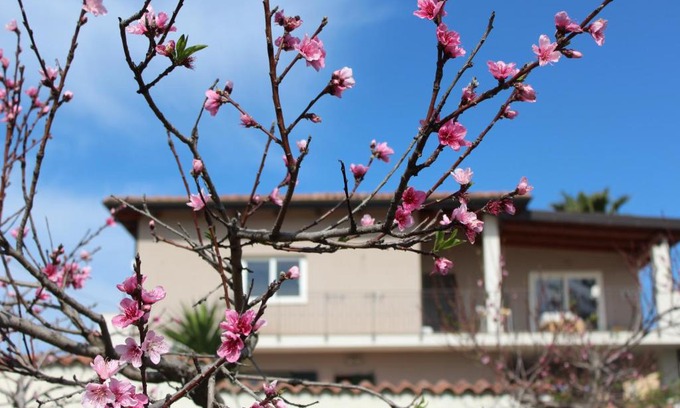 Briatico Bed & Breakfast | Residenza Anna Calabria