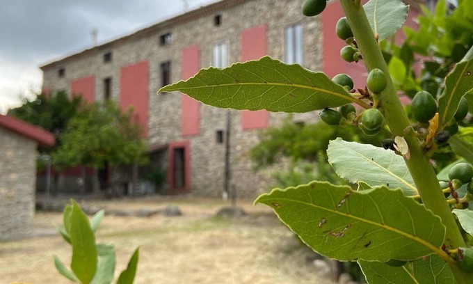 Rossano House | Residenza di Campagna B&B Tenuta Terrarossa