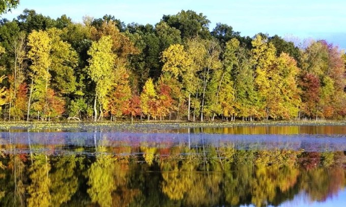 Marcellus Cabin | Rest & Relaxation