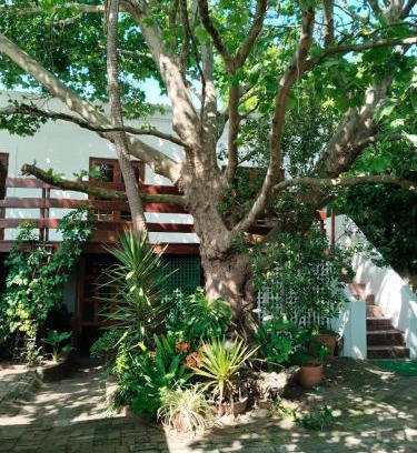 Mowbray House | Restful Tree House in Little Mowbray