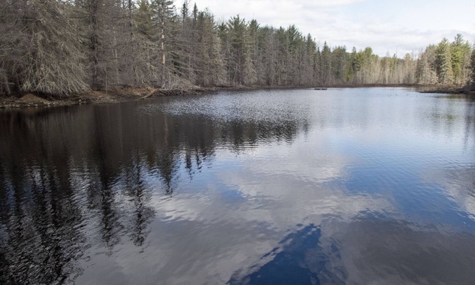 Hastings Highlands Cottage | Retreat cottage on your own private 12-acre pond.