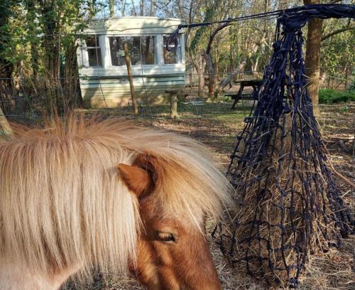 Ewhurst Green Other | Retro Caravan