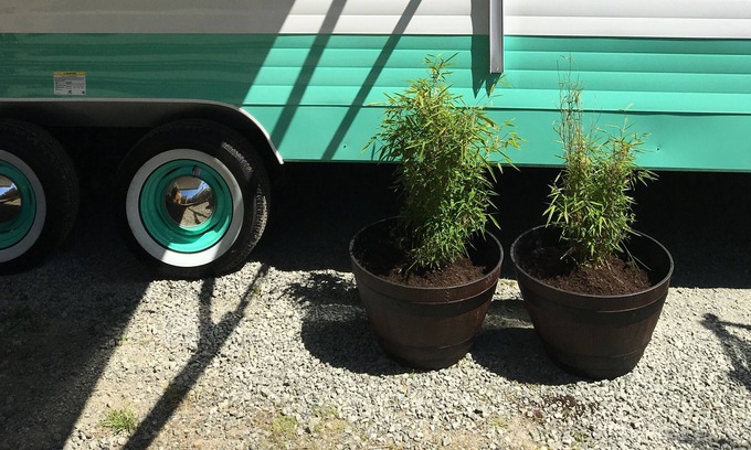 West Sound House | Retro Trailer on the farm