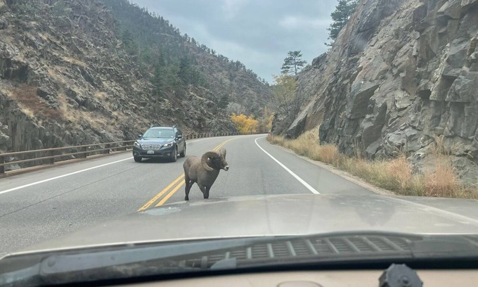 Loveland Cabin | Retro yAy frAme cabin by Estes park