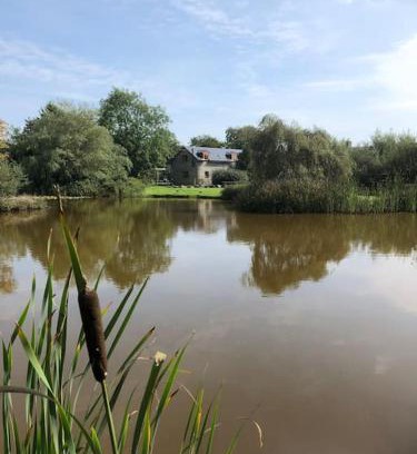 Bethania House | Rhedyn - Cosy Fishing Lodge Near Aberaeron