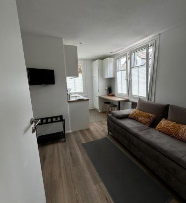 Hoechst Apartment | Rheinblick Ferienwohnung