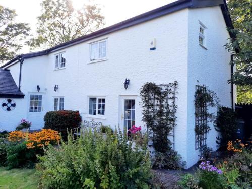 Bodorgan House | Rhos y Bel Cottage Angelsey
