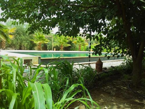 Skoura Bed & Breakfast | RIAD AMAN SKOURA