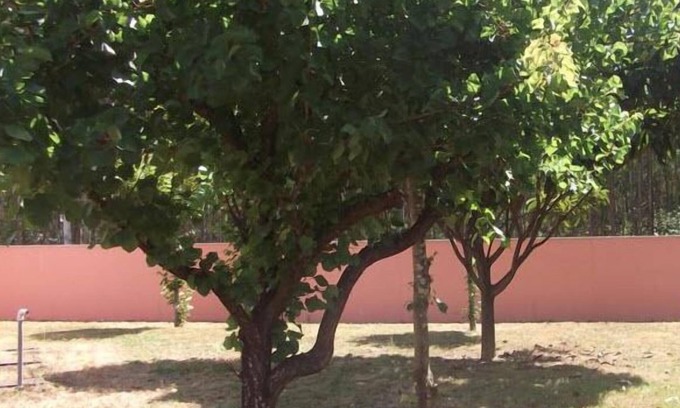 Albergaria-a-Velha Hotel | Ribeirotel