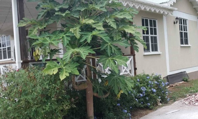 Picard Apartment | Richlyn's House perfect for a peaceful and quiet vacation