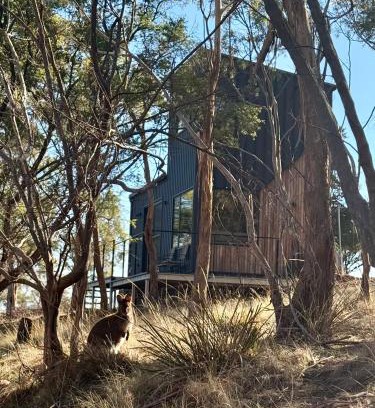 Richmond Villa | Richmond Wildlife Haven