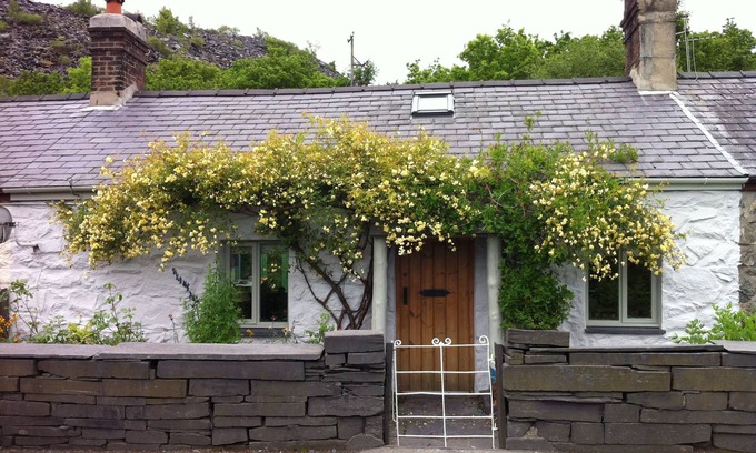 Bethesda Cottage | Ride the Zipwire