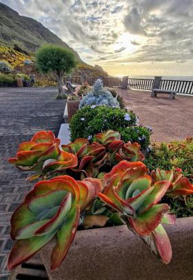 Barlovento House | Riegos de Lino