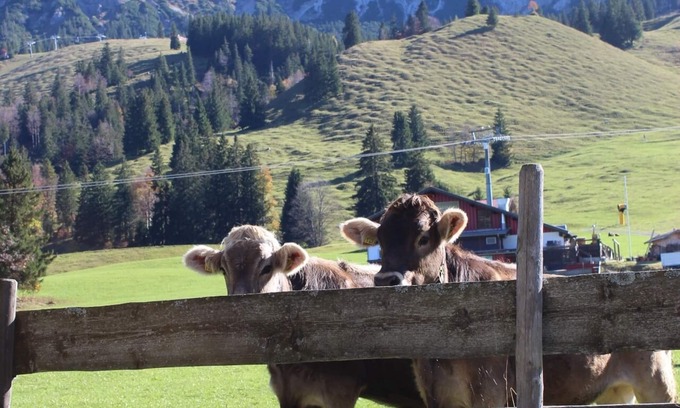 Oberjoch Apartment | Right on the mountain in summer! Ski in, ski out in winter! 1min walk to the chairlift!