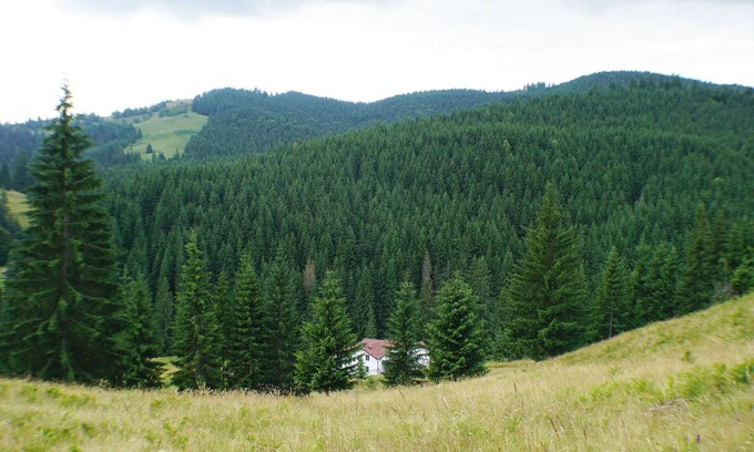 Vatra Moldovitei House | Rija Land, a rural retreat in Bucovina Mountains