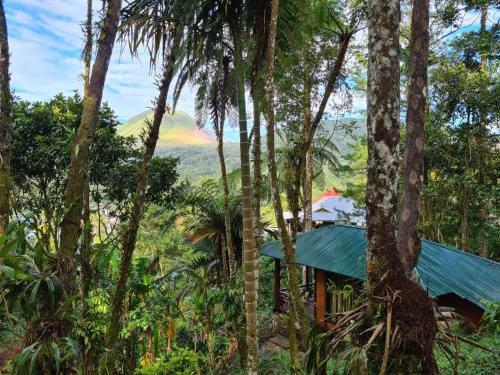 Tomohon Cabin | Rimba eco Resort