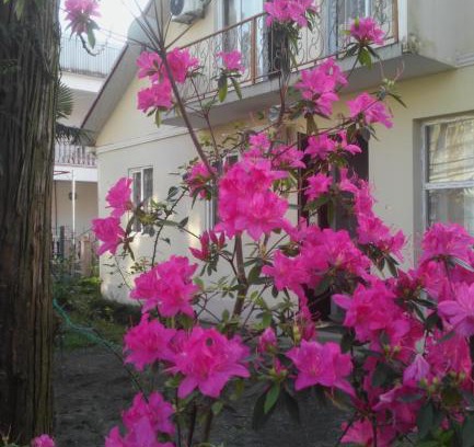 Kobuleti House | Rimma's Place
