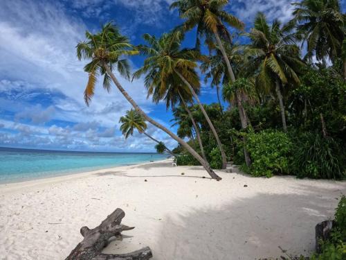 Omadhoo House | Rin'dha Retreats
