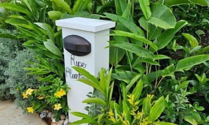 Montego Bay Cabin | Ripe Plantain Cabin