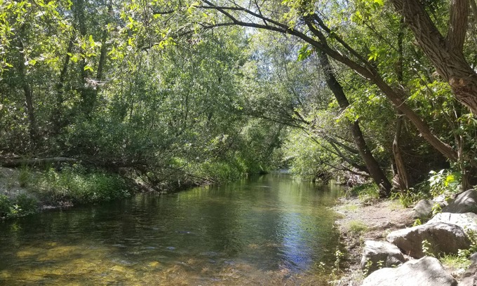 Carmel House | River-front Mid-century home + acreage: Gated flat private personal sanctuary!