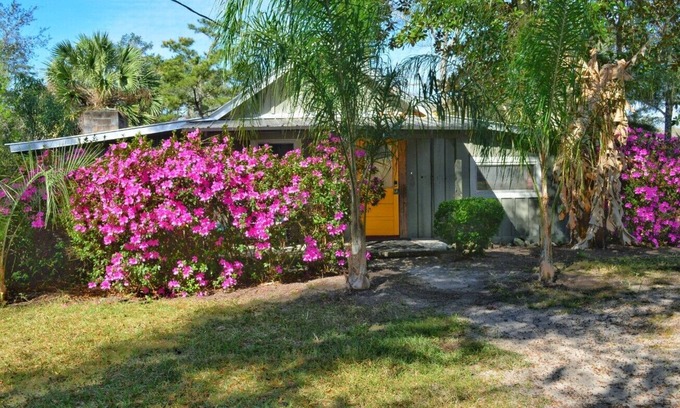 Telogia Cabin | River House! Easy Living on Easy Street