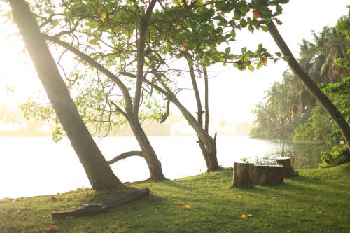 Kovalam House | River Loom