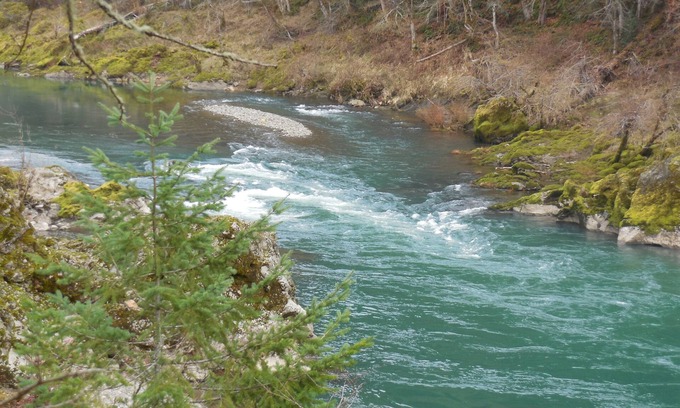 Roseburg House | River Vista Homes: Swim, Fish, and Unwind with Scenic Riverside Views