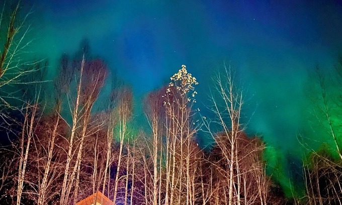 Houston Cabin | Riverfront, Authentic, Luxury Log Cabin-Bull Moose