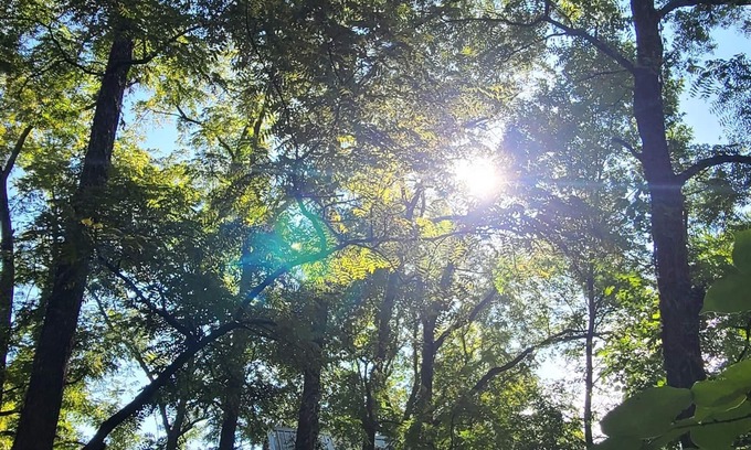 Eureka Springs RV Rental | Riverfront Treehouse Camp