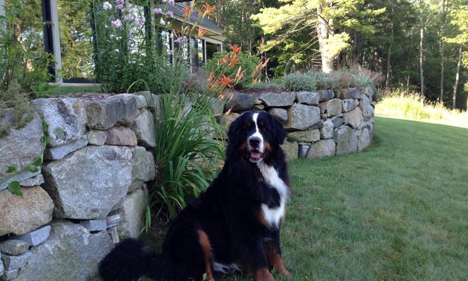 South Berwick Bed & Breakfast | Riverhouse